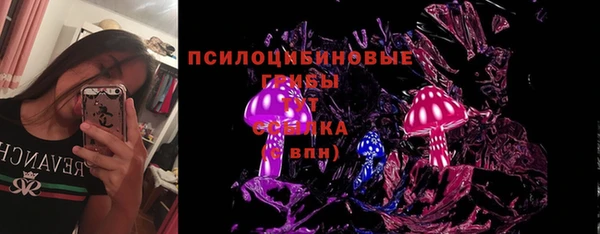 молекула духа Лихославль