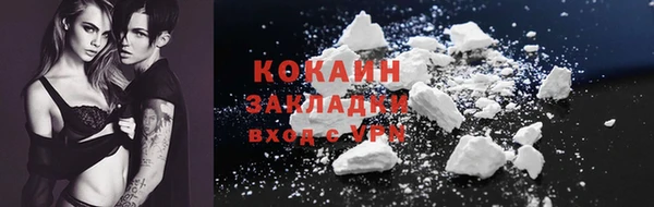 мдпв Ладушкин
