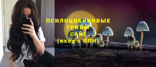 2c-b Липки