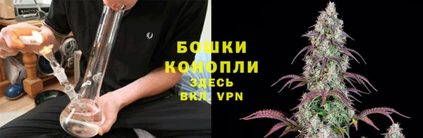 2c-b Липки