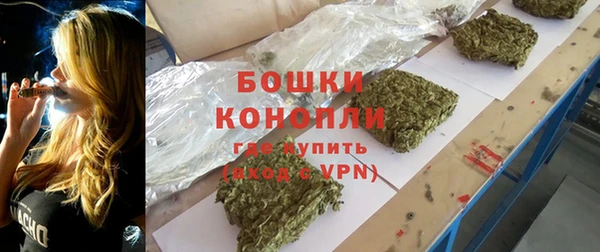 молекула духа Лихославль
