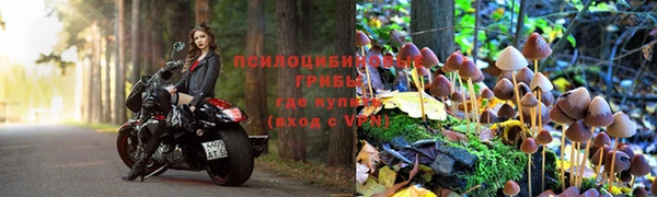 гашик Лагань