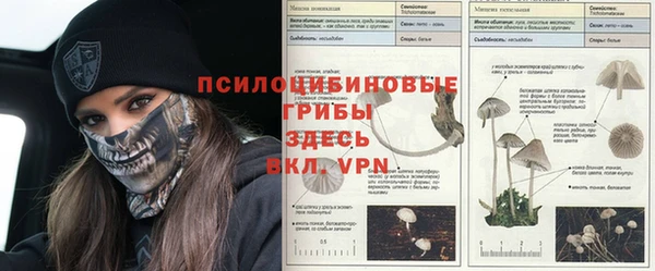 гидропоника Абаза
