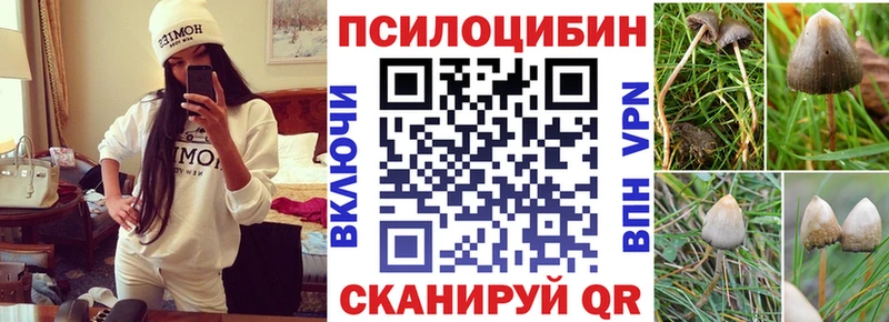 Псилоцибиновые грибы мицелий  Сычёвка 